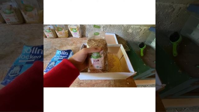 Saaten für Kaninchen Infovideo смотреть онлайн