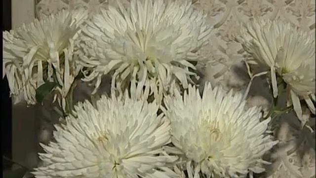 07.03.13 Время новостей смотреть онлайн