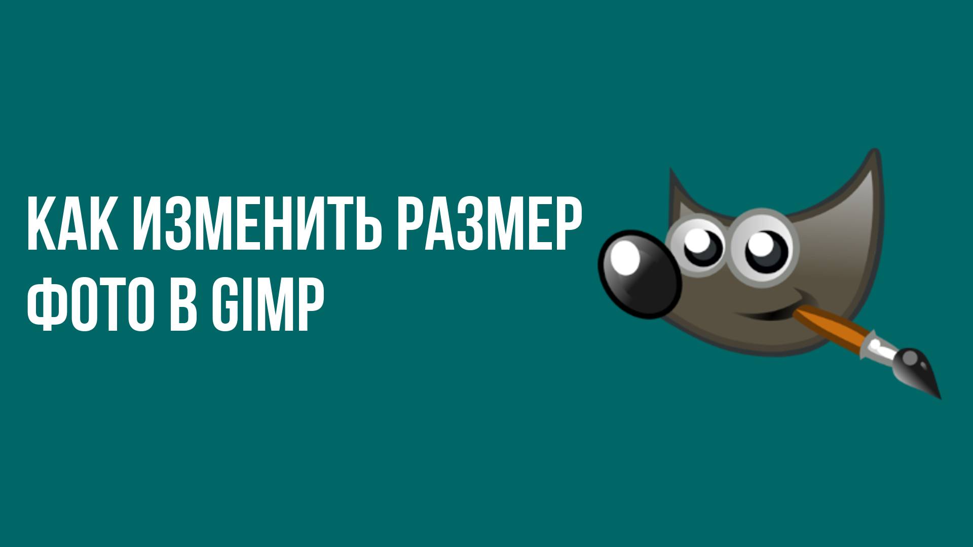 Как изменить размер фото в Gimp смотреть онлайн