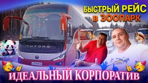 Быстрый пятничный рейс в зоопарк. Идеальный выезд на корпоратив😎