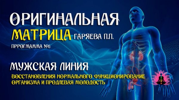 МУЖСКАЯ ЛИНИЯ » Программа №6 ⚠️ Оригинальная программа матрица по технологии Гаряева ☀️ SoftRadio.ru