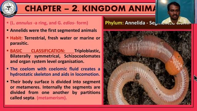 XI ZOO CHAP 2 Characteristics features of Phylum Aschelminthes and Annelida смотреть онлайн