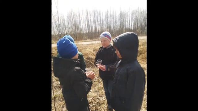 Учащиеся Свято-Екатерининской православной школы г. Судогды в весеннем лесу смотреть онлайн