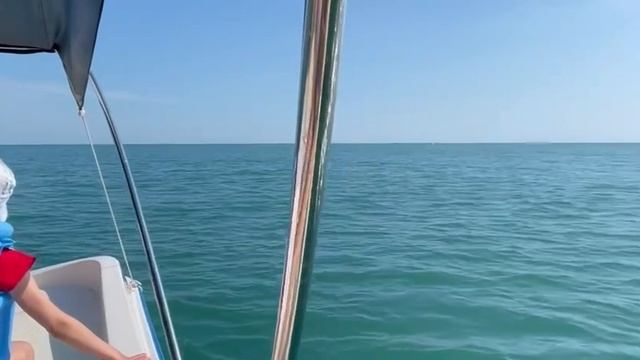 Канал Дениса Алпатова