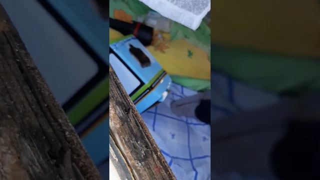 ремонт прицепа дачи окно смотреть онлайн