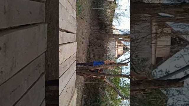 Батыр и Рустам смотреть онлайн