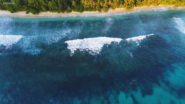 Abdulloh  Domla (Ota-Ona Fiqhi). - Абдуллох дома  (Ота-Она) 2020