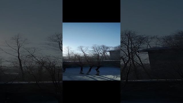 VID_20241216_110659.Зимняя красота. смотреть онлайн