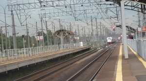 сборник сапсанов на станции Славянка