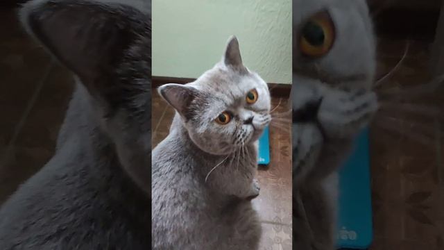добрый день мы проснулись))) смотреть онлайн