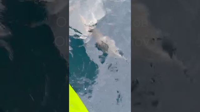 Мальдивы. Maldives. 马尔代夫。 смотреть онлайн