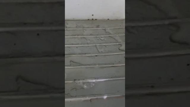 Утечка фреона холодильник позис смотреть онлайн