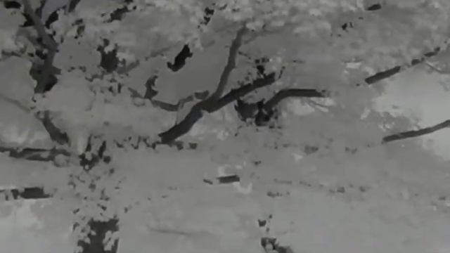 Thermal Thermtec Cyclops350