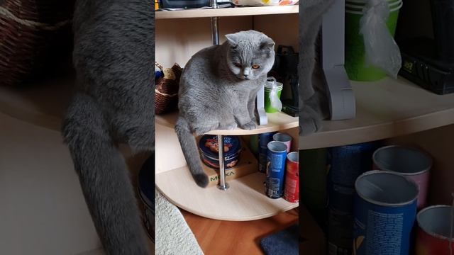 Дерзкий. смотреть онлайн