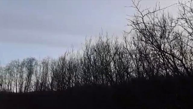видео друзей смотреть онлайн