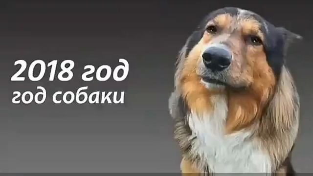 С Новым годом собак смотреть онлайн