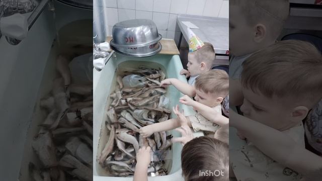 Экскурсия на кухню смотреть онлайн