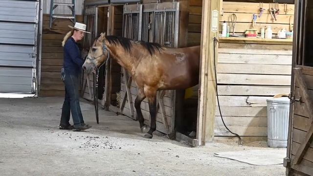 Steel Smart showing creative ways to practice backing. Ultimate Trail Horse. смотреть онлайн