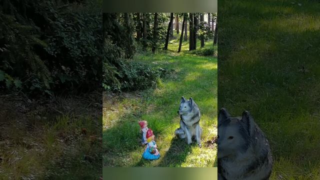 Зеленогорск. Ленинградская область. смотреть онлайн