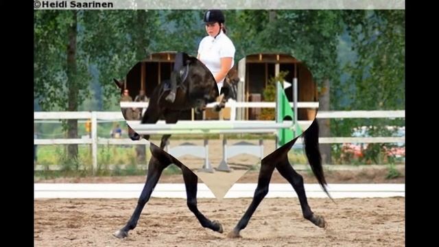 In memorian Sirena xx-1995-2014 смотреть онлайн