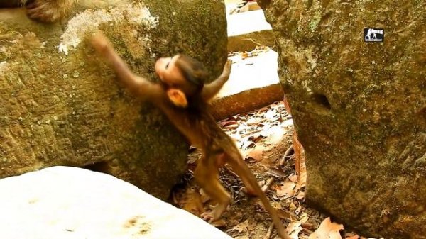 O-M-G ...Mom, Brianna fight baby Baron to stop milk,Pity poor baby Baron cry loud much angry mom