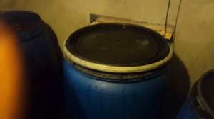 ВИНО из ВИНОГРАДА. Часть 1. ENG SUB.