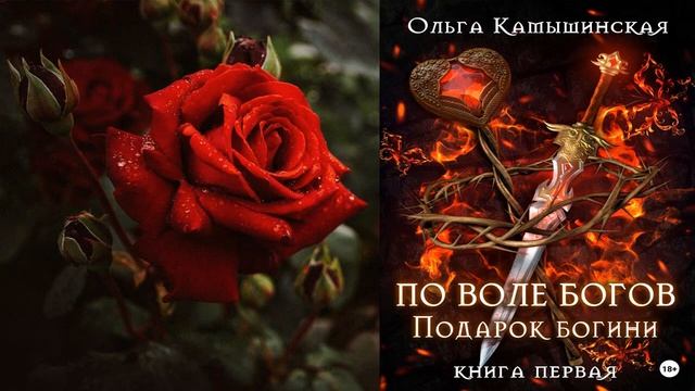 По воле богов. Подарок богини. Книга 1 "Любовное фэнтези" (Ольга Камышинская) Аудиокнига смотреть онлайн
