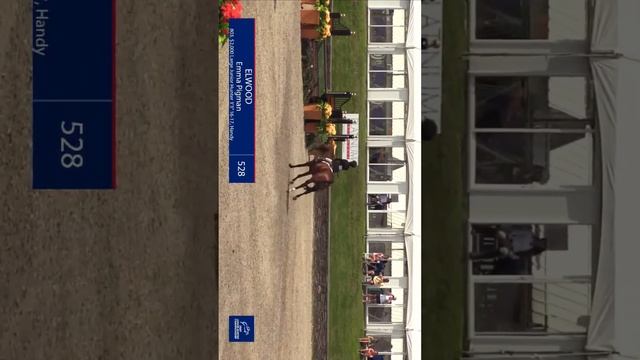 1. 2018 Junior Hunter Finals смотреть онлайн
