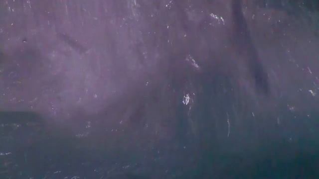Waveforms смотреть онлайн