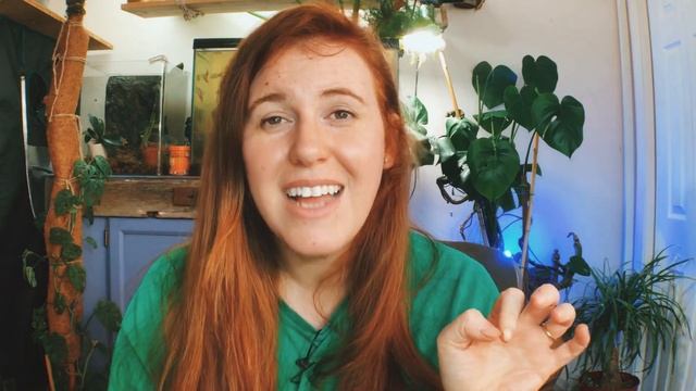 DIY PESTICIDES FOR PLANTS THAT ACTUALLY WORK. THE SCIENCE OF WHAT WORKS. | Gardening in Canada 🌱 смотреть онлайн