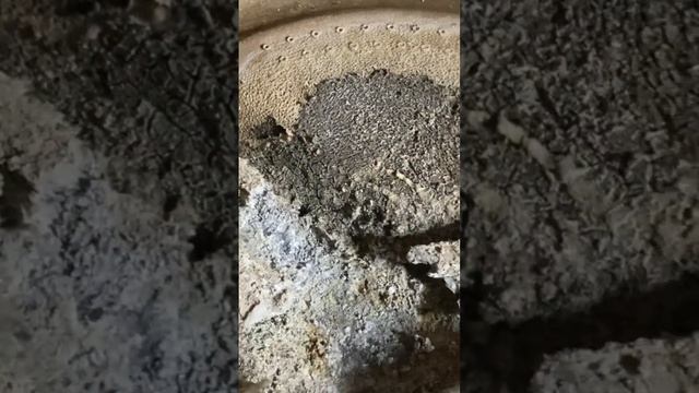 Как почистить стиральную машину лимонной кислотой смотреть онлайн