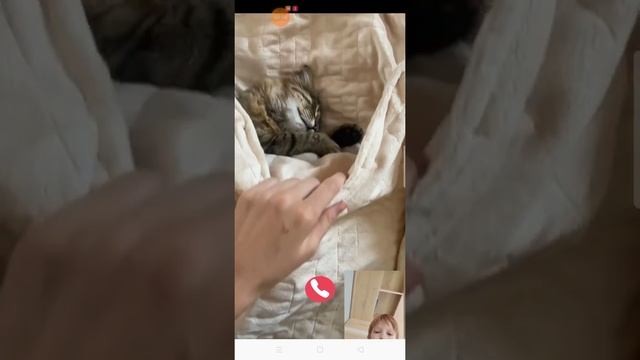 сирено головый смотреть онлайн