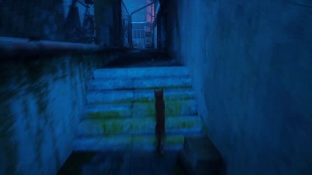 Stray | Первая погоня Зурков | "Кота не догонишь" смотреть онлайн
