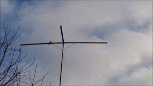 Сельские голуби. Новоалександровска голуби завтрак для ястреба.