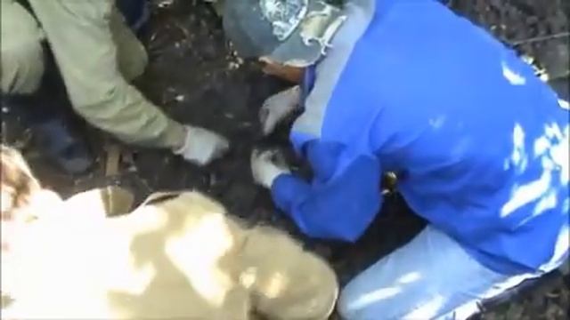 Полевой выход поискового отряда Тамань смотреть онлайн
