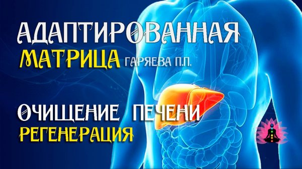 Матрица очищение  печени 🌀 Адаптированная программа матрица по технологии Гаряева ☀️ SoftRadio.ru