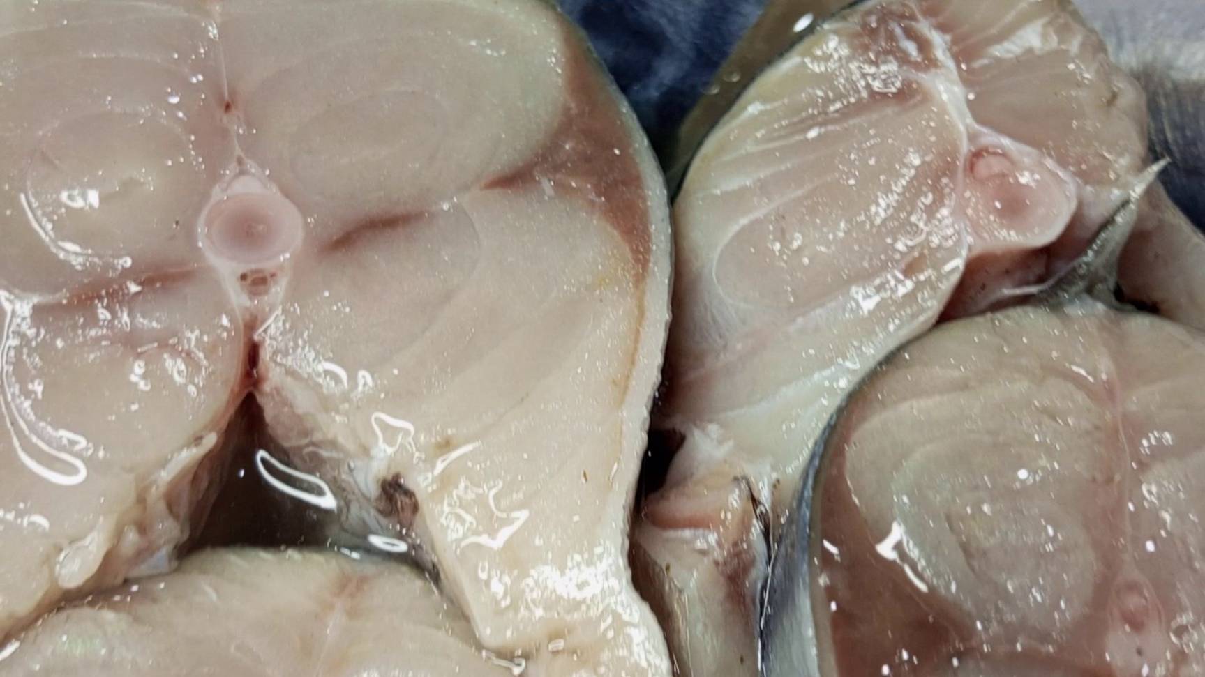 СКУМБРИЯ , КУСОК, ПРЕСЕРВЫ #boosty смотреть онлайн