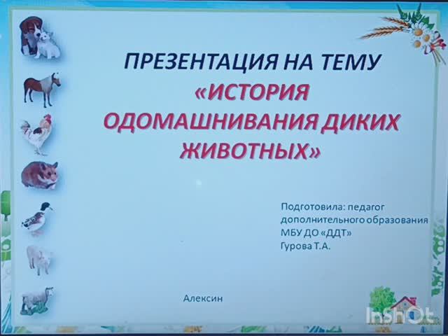 Видеоурок на тему: "История одомашнивания диких животных". смотреть онлайн