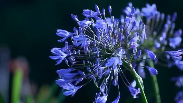 30 секунд наслаждения природы смотреть онлайн