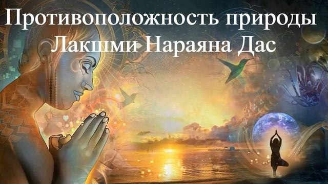 ПРОТИВОПОЛОЖНОСТЬ ПРИРОДЫ Лакшми Нараяна Дас смотреть онлайн