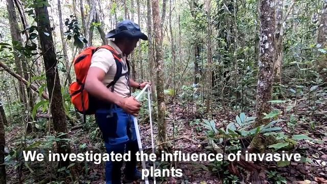 Vashist, Mauritius - "Mauritian flying fox" | Earthbeat Challenge 2021 смотреть онлайн