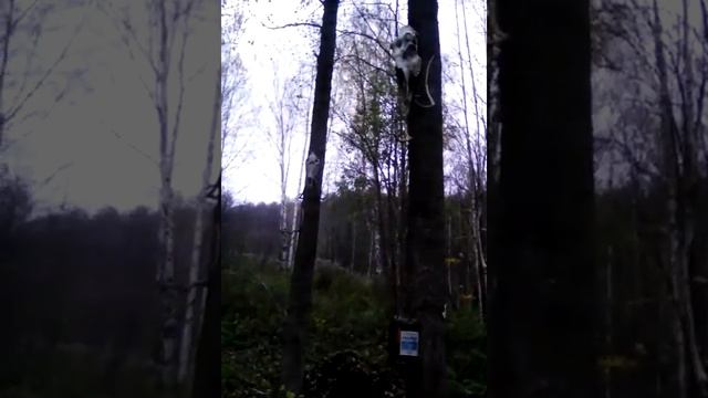 Страшный череп смотреть онлайн