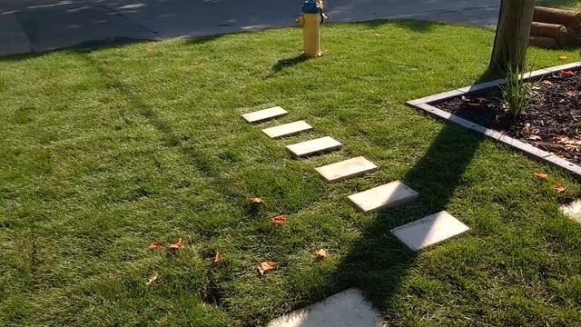 Богатый дом - front yard before and after смотреть онлайн