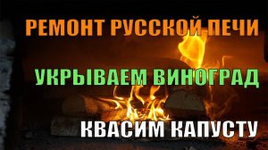 11. С ГОЛОДУ НЕ УМРЕМ. КВАСИМ. СЛОМАЛИ ПЕЧЬ. СПАСЛИ ВИНОГРАД