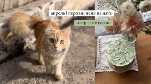 выпуск 5| Апрель 2024 | первый день на даче | новое увлечение