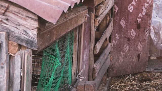 Когда все вместе. Таджикская семья смотреть онлайн
