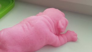 Новая сквиши-собака 😊