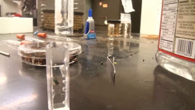 Preserving with Hand Sanitizer смотреть онлайн