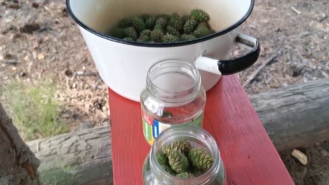 Июнь 2024 в Родовом поместье Ве Лес на Урале смотреть онлайн