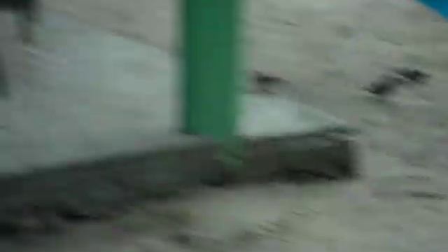 ПТИЦЫ РЯДОМ С НАМИ смотреть онлайн